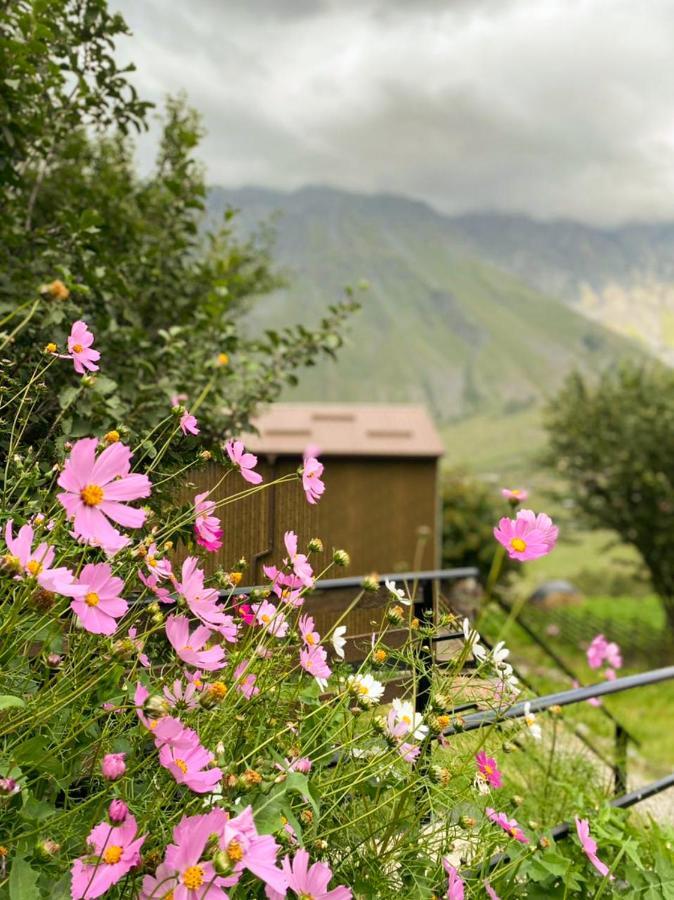 Ferienwohnung My Space Kazbegi Exterior foto
